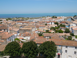 Déménageur Saint-Martin-d'Hères